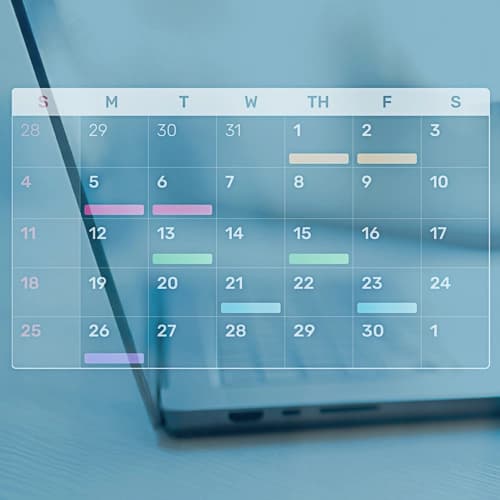 Weekly Management Icon